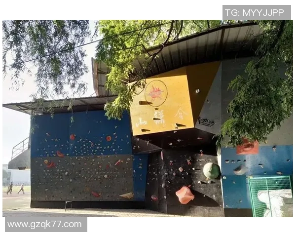 杭州攀岩队的蜕变之旅：从传统训练到现代竞技的全新探索